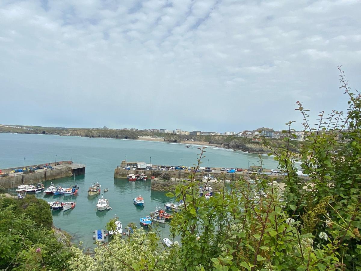 Ocean View Beach Rd New Quay Εξωτερικό φωτογραφία